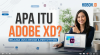 Apa Itu Adobe XD?