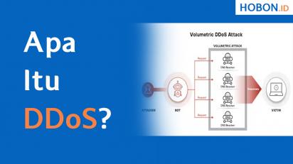 Apa Itu DDoS (Distributed Denial-of-Service)?
