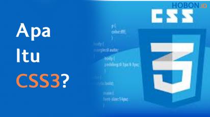 Apa Itu CSS3?