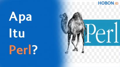 Apa Itu Perl?