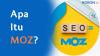 Apa Itu Moz?