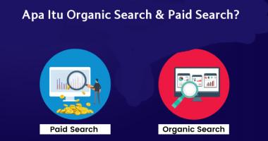 Apa Itu Organic Search dan Paid Search?
