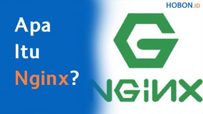 Apa Itu Nginx?