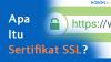 Apa Itu SSL Certificate (Sertifikat SSL)?