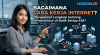 Bagaimana Cara Kerja Internet? Penjelasan Lengkap tentang Infrastruktur di Balik Setiap Klik